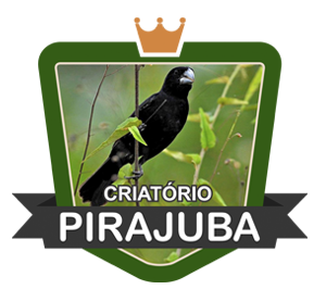 logotipo